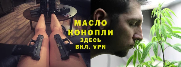 молекула духа Фёдоровский