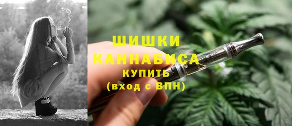молекула духа Фёдоровский