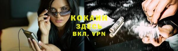 молекула духа Фёдоровский