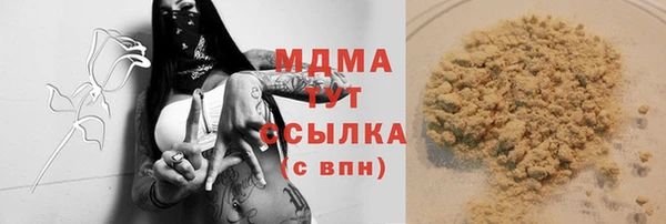 молекула духа Фёдоровский