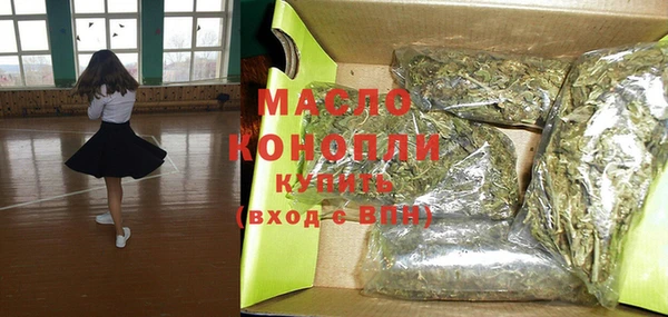 молекула духа Фёдоровский