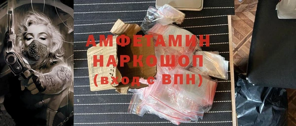 молекула духа Фёдоровский