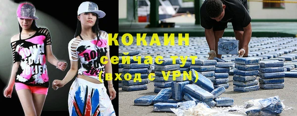 молекула духа Фёдоровский