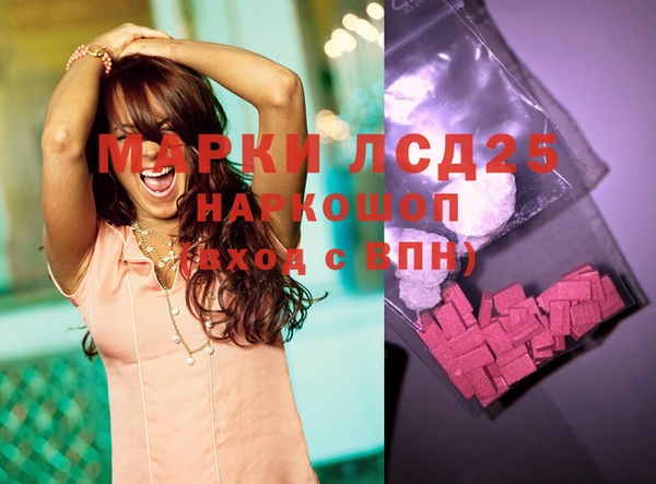 spice Калининец