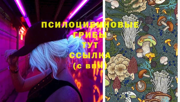 spice Калининец