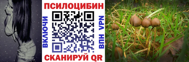 Купить где  Азов  Галлюциногенные грибы прущие грибы